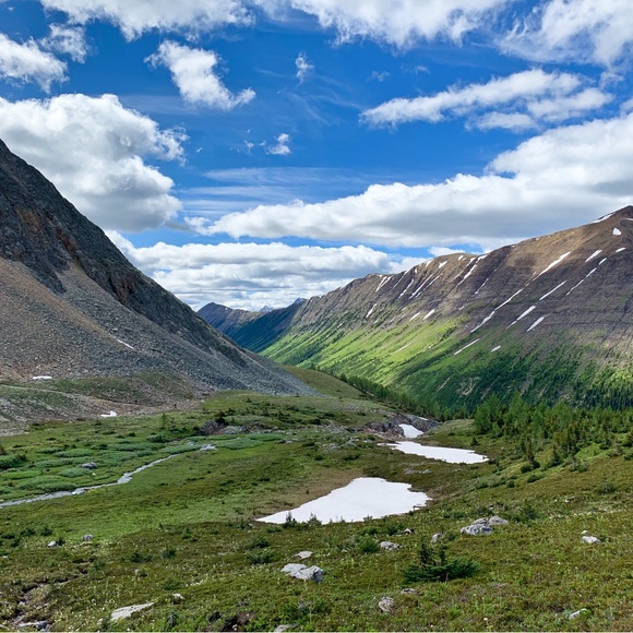 Meet your Posher, Shawna - Picture 1 of 1